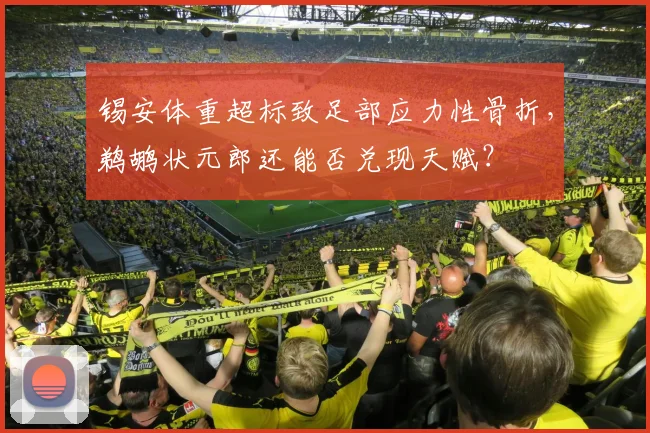 锡安体重超标致足部应力性骨折，鹈鹕状元郎还能否兑现天赋？